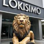 Lokisimo Corporation Profile Picture